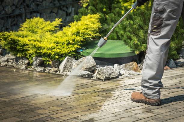 Best Pool Deck Cleaning  in Williston, FL