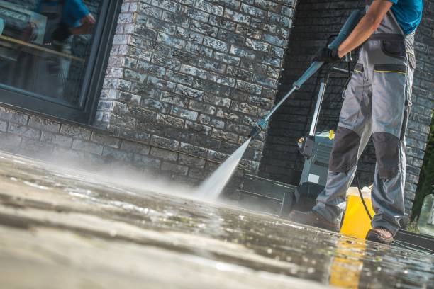 Best Pre-Holiday Cleaning  in Williston, FL