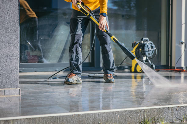 Best Animal Enclosure Cleaning  in Williston, FL