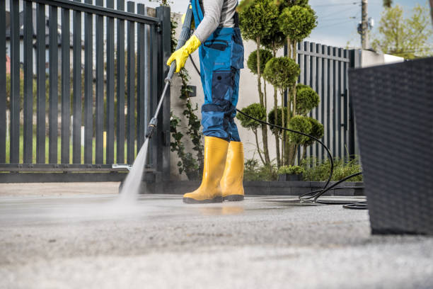 Best Rust Removal  in Williston, FL